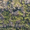 Photo of Mobile Home Lot