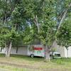 Mobile Home for Sale: 3 Bed 4 Bath 1987 Mobile Home
