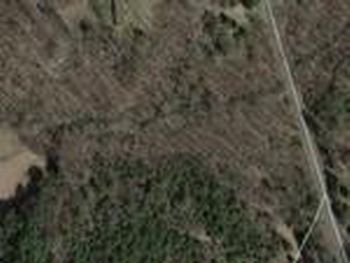 Photo of Mobile Home Lot
