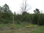 Photo of Mobile Home Lot