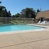 Phase 1 Clubhouse Pool