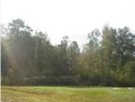 Photo of Mobile Home Lot