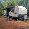 RV for Sale: 2016 PALOMINO 10ST