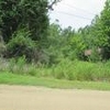 Photo of Mobile Home Lot
