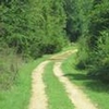 Photo of Mobile Home Lot