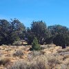 Photo of Mobile Home Lot