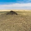 Photo of Mobile Home Lot