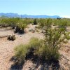 Photo of Mobile Home Lot