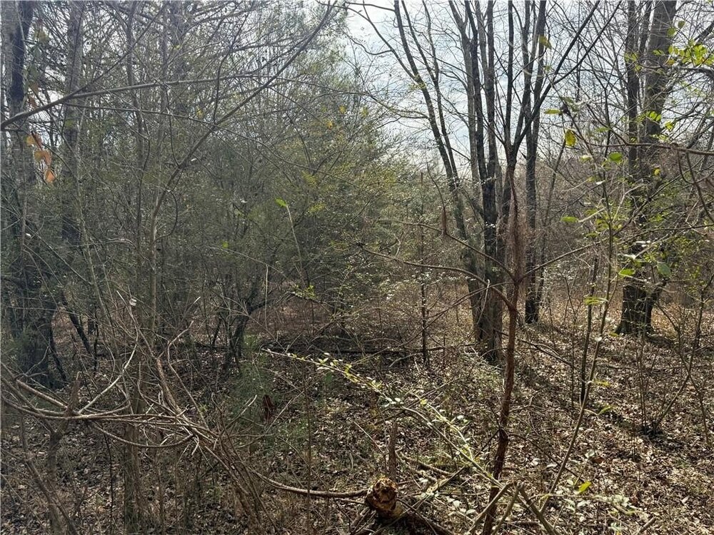 Photo of Mobile Home Lot