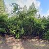 Mobile Home for Sale: Mobile Home