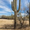 Photo of Mobile Home Lot
