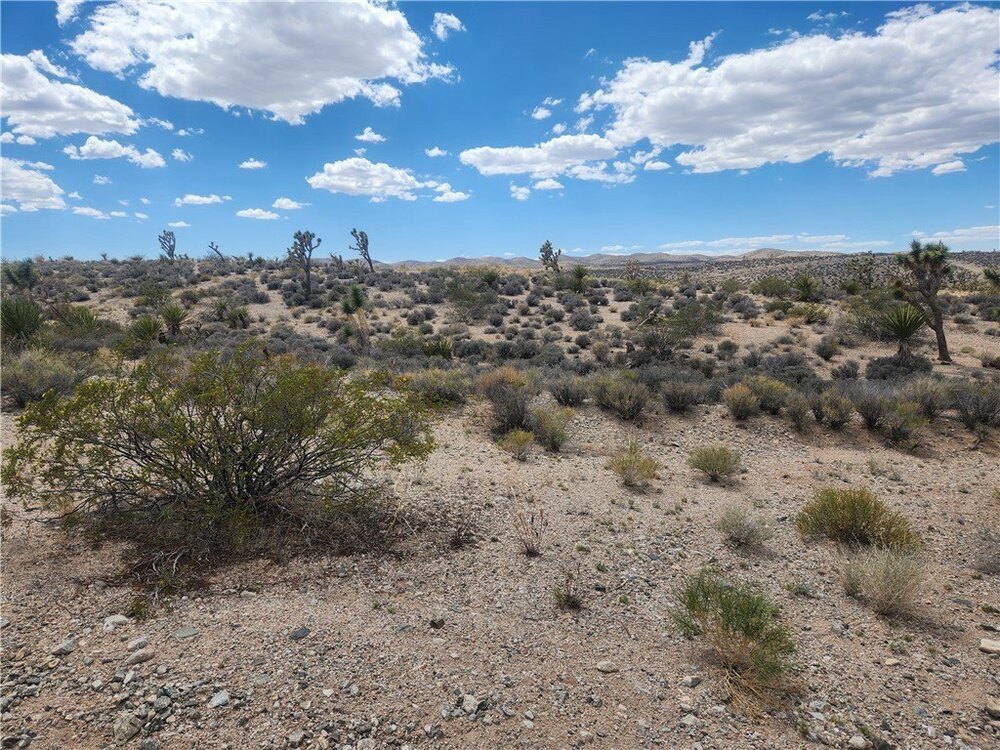 Photo of Mobile Home Lot