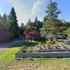 Mobile Home for Sale: 3 Bed 1 Bath 1979 Mobile Home