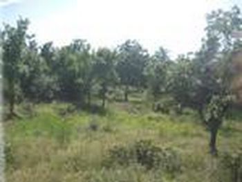 Thumbnail of mobile home lot