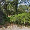 Mobile Home for Sale: 4 Bed 2 Bath 2013 Mobile Home