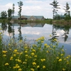RV Park for Sale: Central Maine with Room for Expansion, Albion, ME