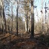 Photo of Mobile Home Lot