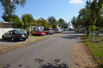Community Picture