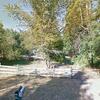 Mobile Home for Sale: 3 Bed 2 Bath 1984 Mobile Home