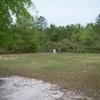 Photo of Mobile Home Lot