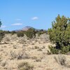 Photo of Mobile Home Lot
