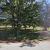 Mobile Home for Sale: 2005 Mobile Home