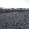 Photo of Mobile Home Lot