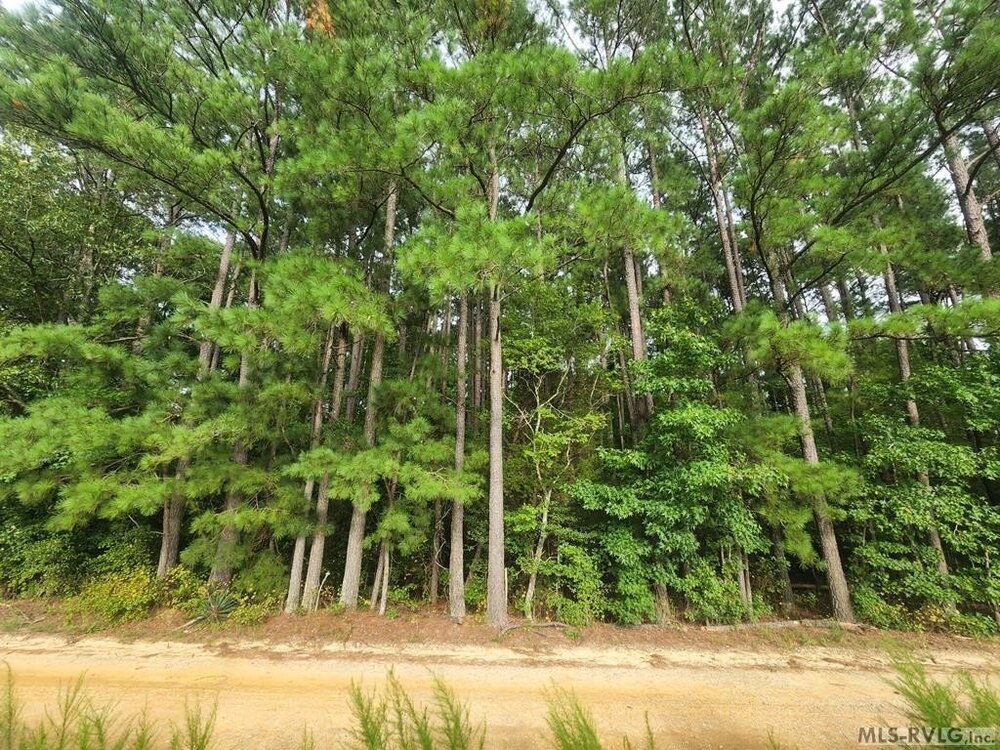 Photo of Mobile Home Lot