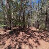 Photo of Mobile Home Lot