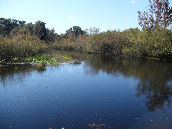 Photo of RV Lot