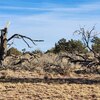 Photo of Mobile Home Lot