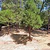 Mobile Home for Sale: 3 Bed 2 Bath 1977 Mobile Home