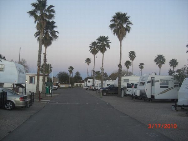 Tucson Palms