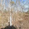Mobile Home for Sale: 2000 Mobile Home