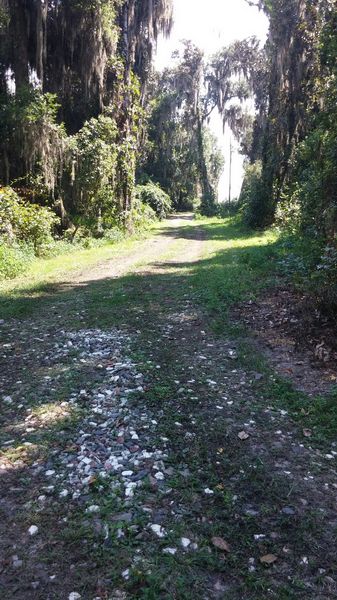 Drive or walk down to the river