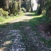 Drive or walk down to the river