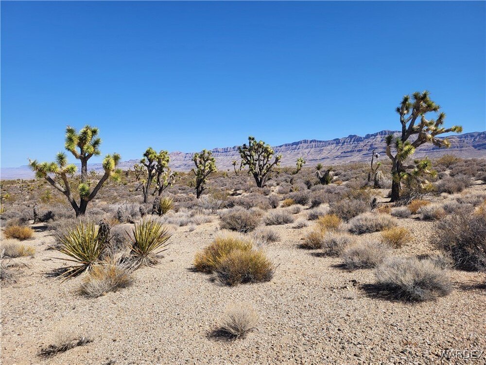 Photo of Mobile Home Lot