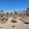 Photo of Mobile Home Lot