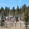 RV Lot for Sale: Sunshine Loop, Fairplay, CO