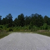 Mobile Home Lot for Sale: LOWCOUNTRY, Florence, SC