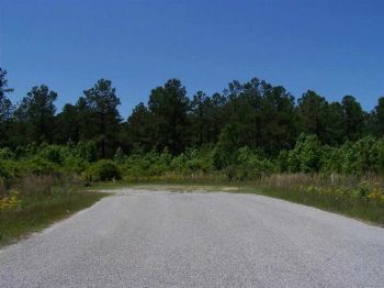 Photo of Mobile Home Lot