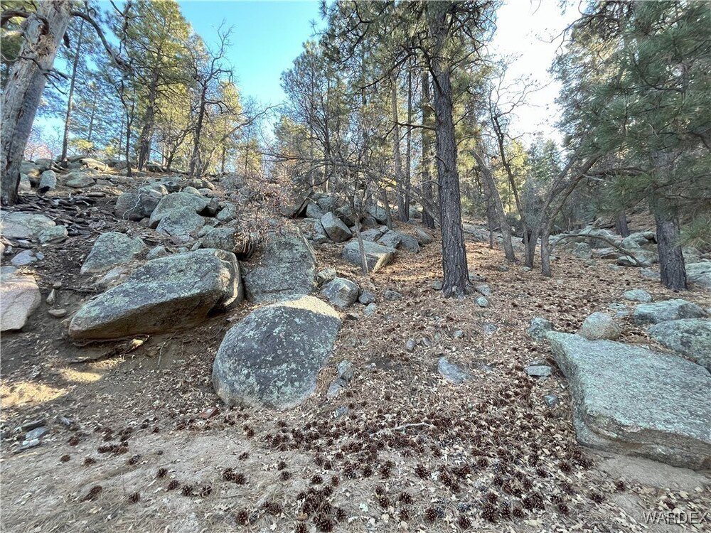 Photo of Mobile Home Lot