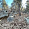 Photo of Mobile Home Lot