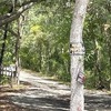 Mobile Home for Sale: 3 Bed 2 Bath 1986 Mobile Home
