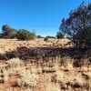 Photo of Mobile Home Lot