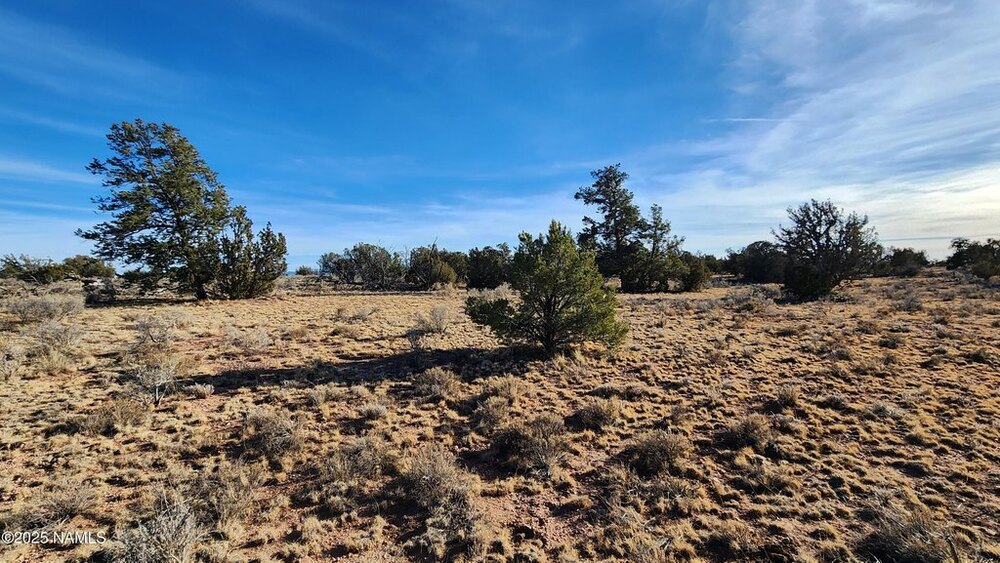 Photo of Mobile Home Lot