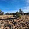 Photo of Mobile Home Lot