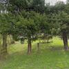 Mobile Home for Sale: 2001 Mobile Home