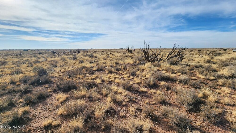Photo of Mobile Home Lot