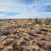 Photo of Mobile Home Lot